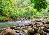 BEAUTIFUL RESIDENTIAL LAND IN NATURE AT LESCALIER