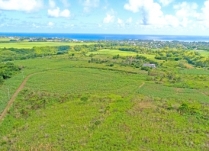 Rochester Fall - Agricultural Land 