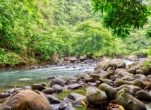 BEAUTIFUL RESIDENTIAL LAND IN NATURE AT LESCALIER