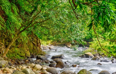 Lescalier Land Pic 14.jpg