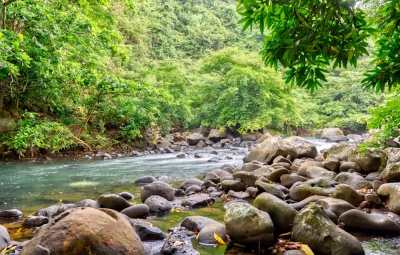 Surinam Land Pic 10.jpg