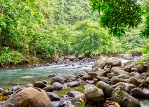 BEAUTIFUL RESIDENTIAL LAND IN NATURE AT LESCALIER