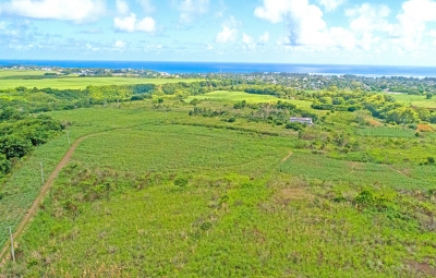 Souillac Land - Pic 7.jpg