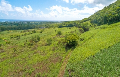 Souillac Land - Pic 4.jpg