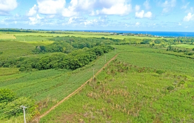 Souillac Land - Pic 6.jpg