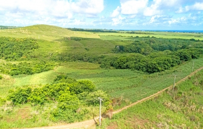 Souillac Land - Pic 5.jpg