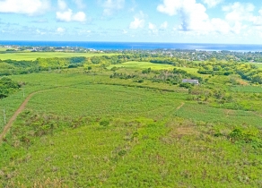 Rochester Fall - Agricultural Land 