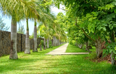 Le Beau Vallon - Pic 13.jpg